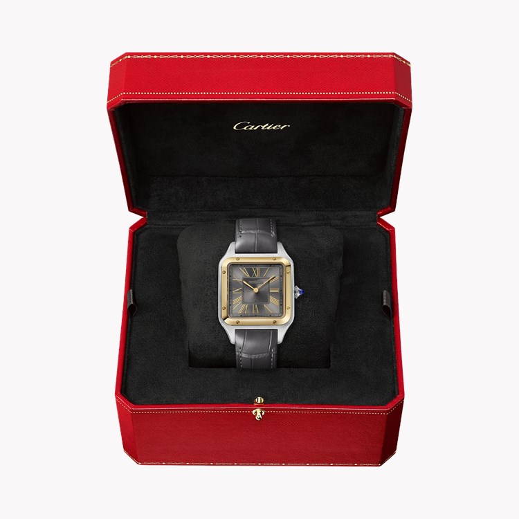 Cartier Santos-Dumont de Cartier Large, Grey Dial, Roman Numerals_5