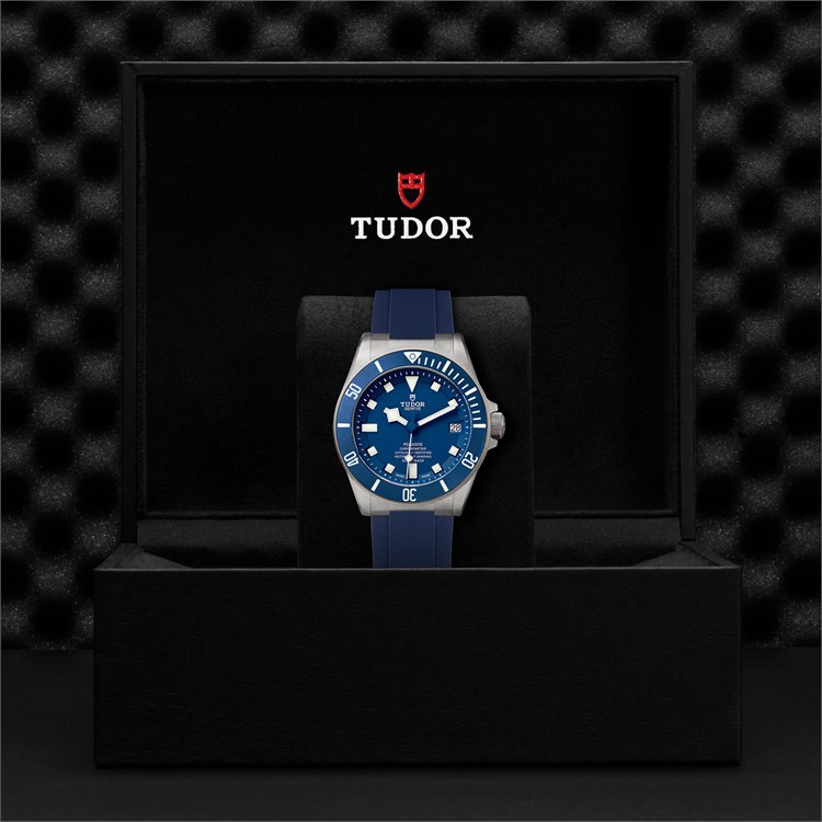 Tudor Pelagos 42mm. Blue Dial. Baton Numerals_6