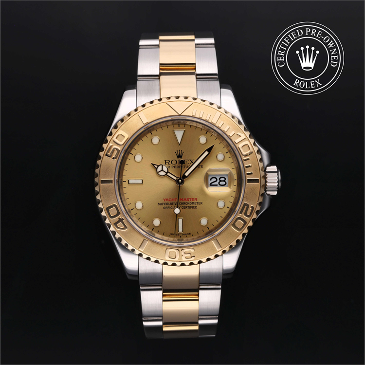 GMT-Master II with a bezel and bracelet