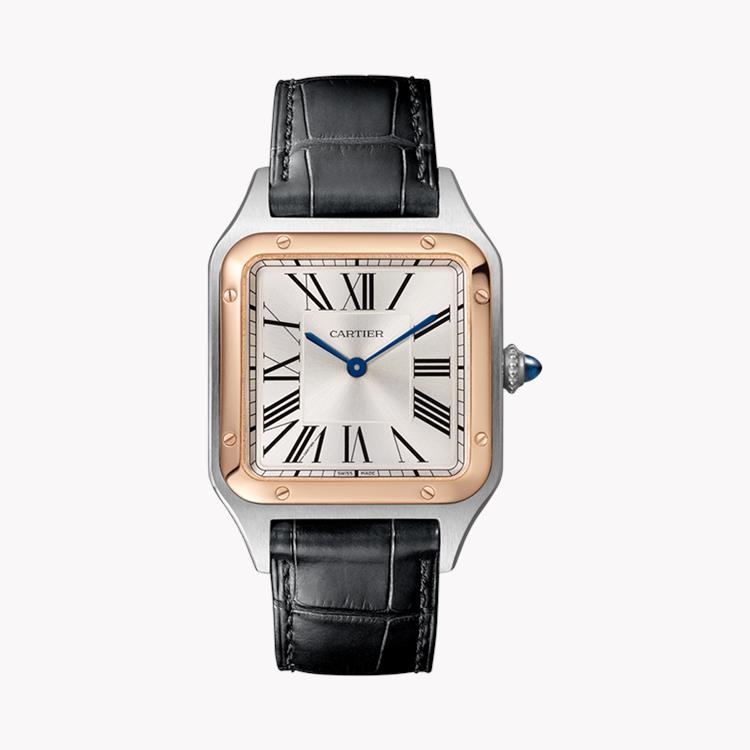 Cartier Santos-Dumont 31.4mm, Silver Dial, Roman Numerals_1