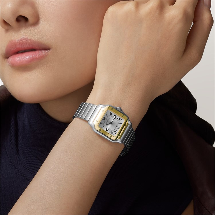 Cartier Santos de Cartier Small, Silver Dial, Roman Numerals_10