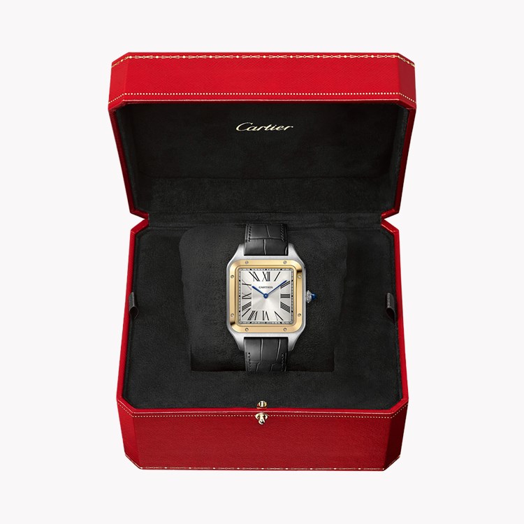 Cartier Santos-Dumont Extra-Large, Silver Dial, Roman Numerals_5