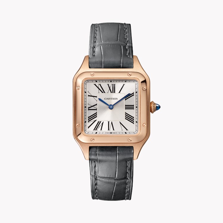 Cartier Santos-Dumont Small, Silver Dial, Roman Numerals_1