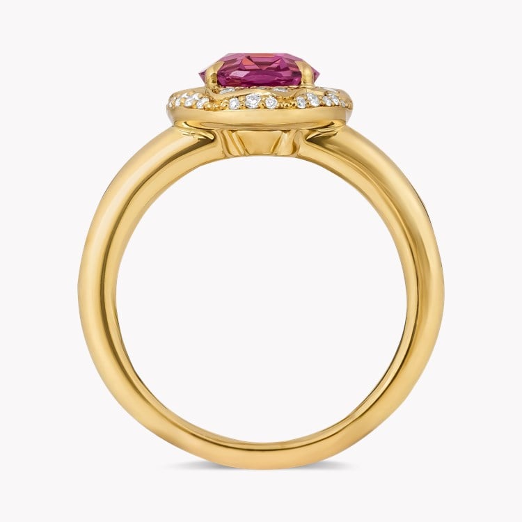 Oval Cut 2.88ct Kitulo Garnet and Diamond Ring Oval Cut, Claw Set_3