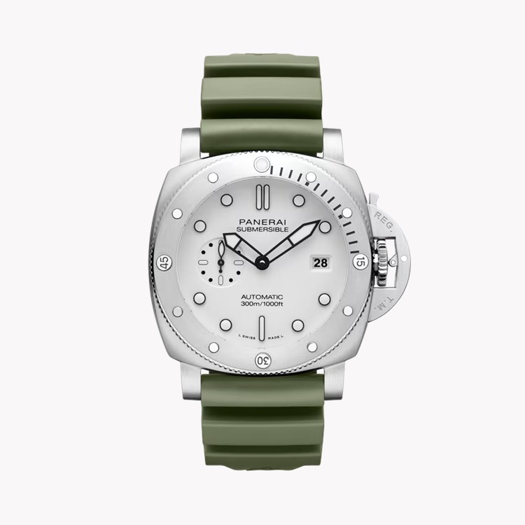 Submersible   PAM01595