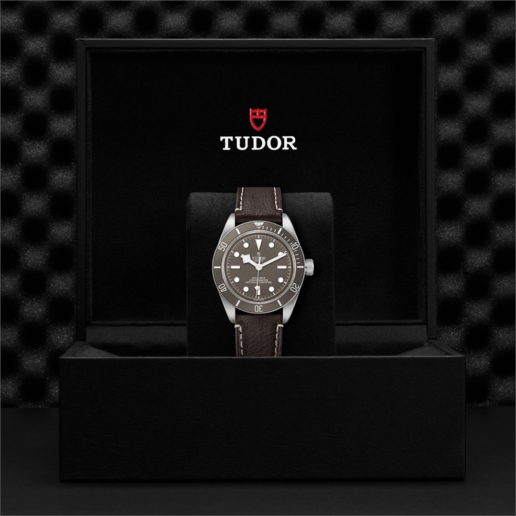 Tudor Black Bay Fifty-Eight 925 39mm, Taupe Dial, Baton Markers_3