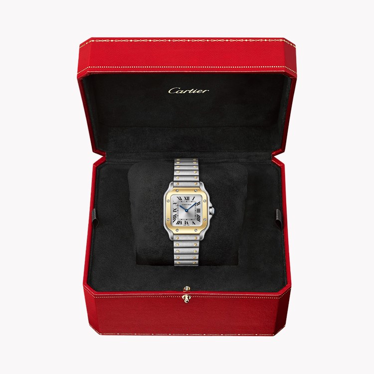 Cartier Santos de Cartier Small, Silver Dial, Roman Numerals_6