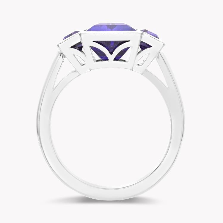 Kingdom Tanzanite Ring Baguette Cut, Rubover_3