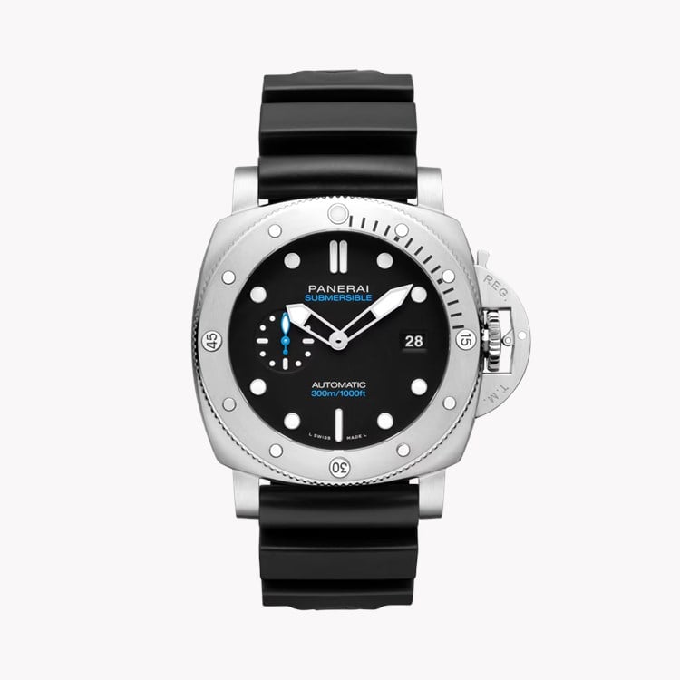 Submersible   PAM01596