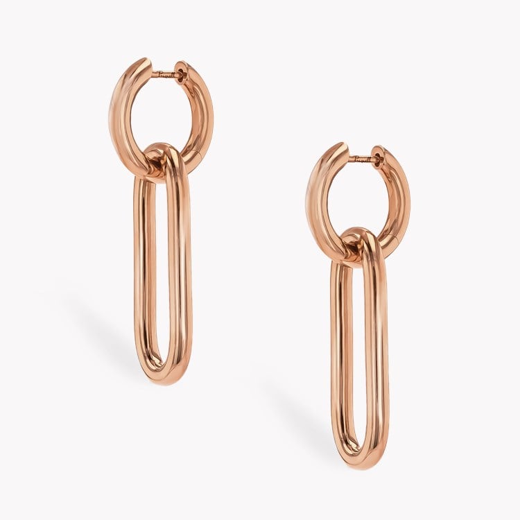 Havana Drop Earrings _3