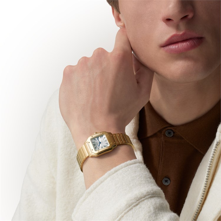 Cartier Santos de Cartier Small, Silver Dial, Roman Numerals_10