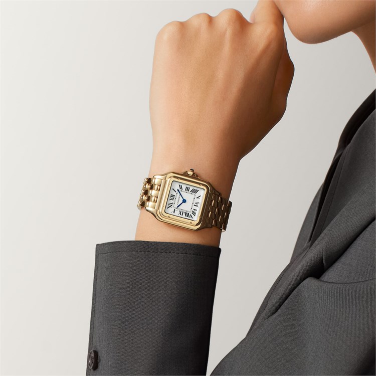 Cartier Panthère de Cartier WGPN0041 Watch Large, Silver Dial