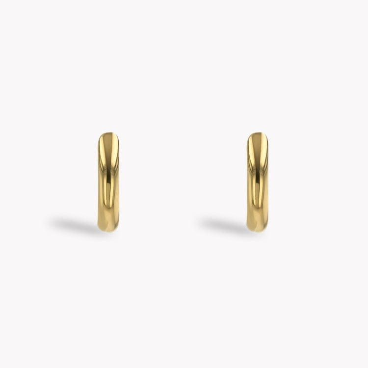 Havana Gold Hoop Earrings _2