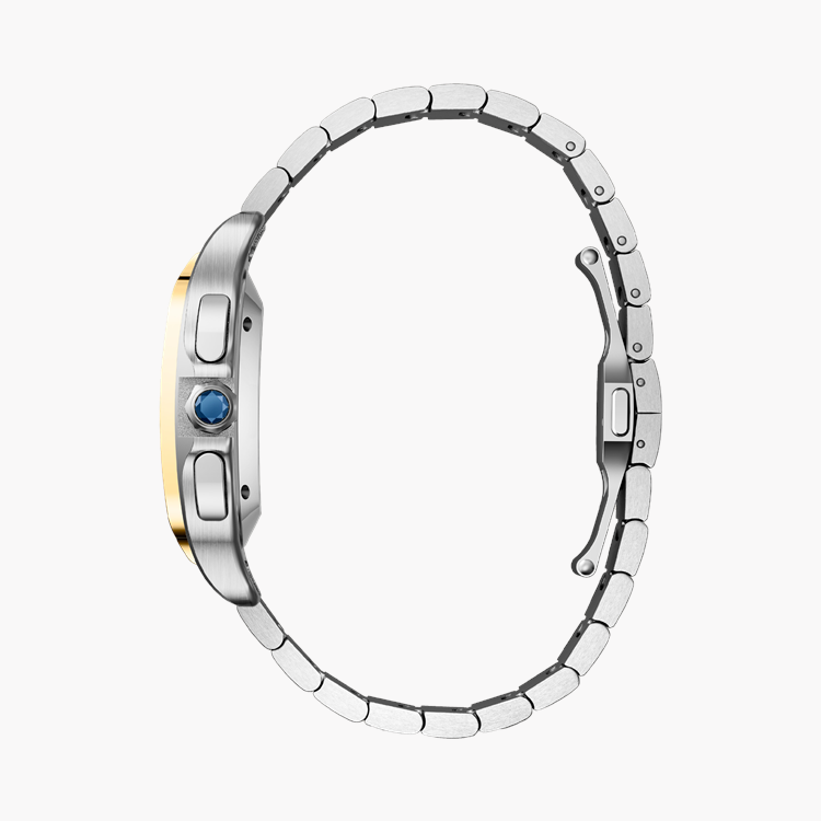 Cartier Santos de Cartier Large, Silver Dial, Roman Numerals_3
