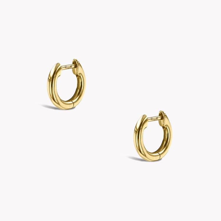Small Hoop Earrings _3