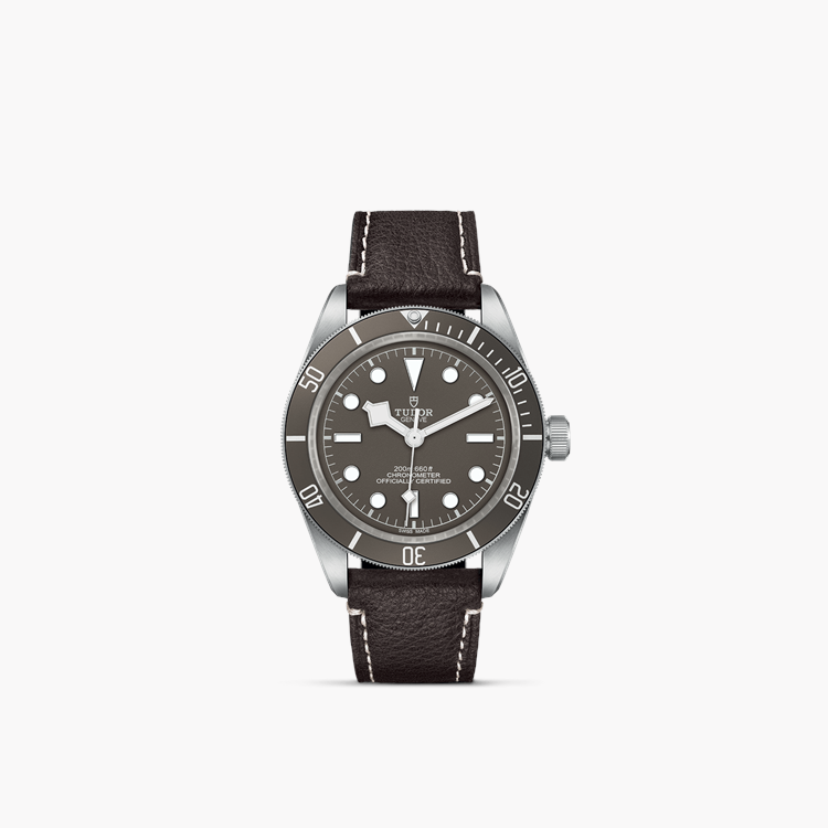 Tudor Black Bay Fifty-Eight 925 39mm, Taupe Dial, Baton Markers_1