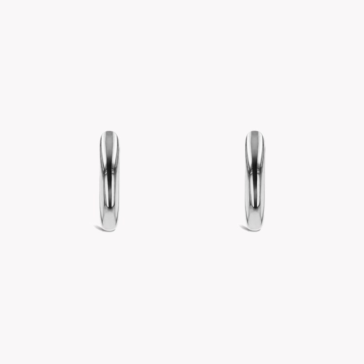 Small Hoop Earrings _2