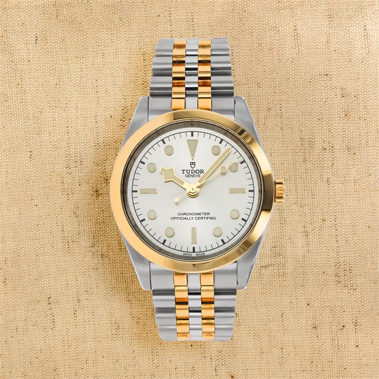 Tudor Black Bay One 41 S&G