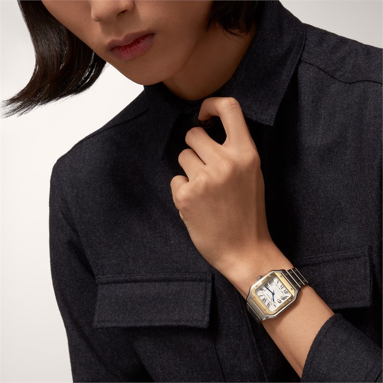Cartier Santos de Cartier Medium, Silver Dial, Roman Numerals_8