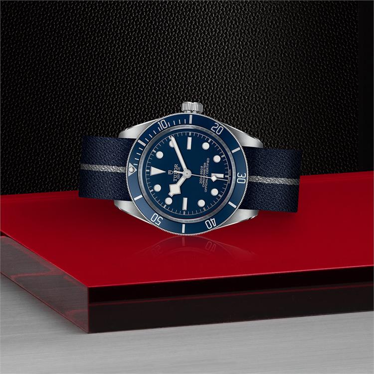 Tudor Black Bay Fifty-Eight 39mm. Blue Dial. Baton Numerals_2