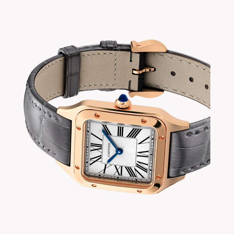 Cartier Santos-Dumont Small, Silver Dial, Roman Numerals_5