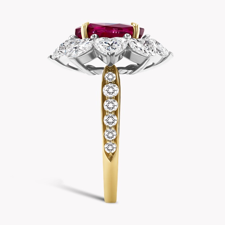 Burmese Ruby and Heart Shaped Diamond Ring Oval, Heart and Brilliant Cut, Claw Set_4