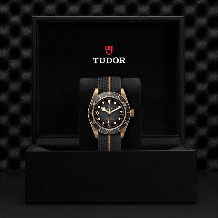 Tudor Black Bay Bronze 43mm. Grey Dial. Arabic/Baton Numerals_3