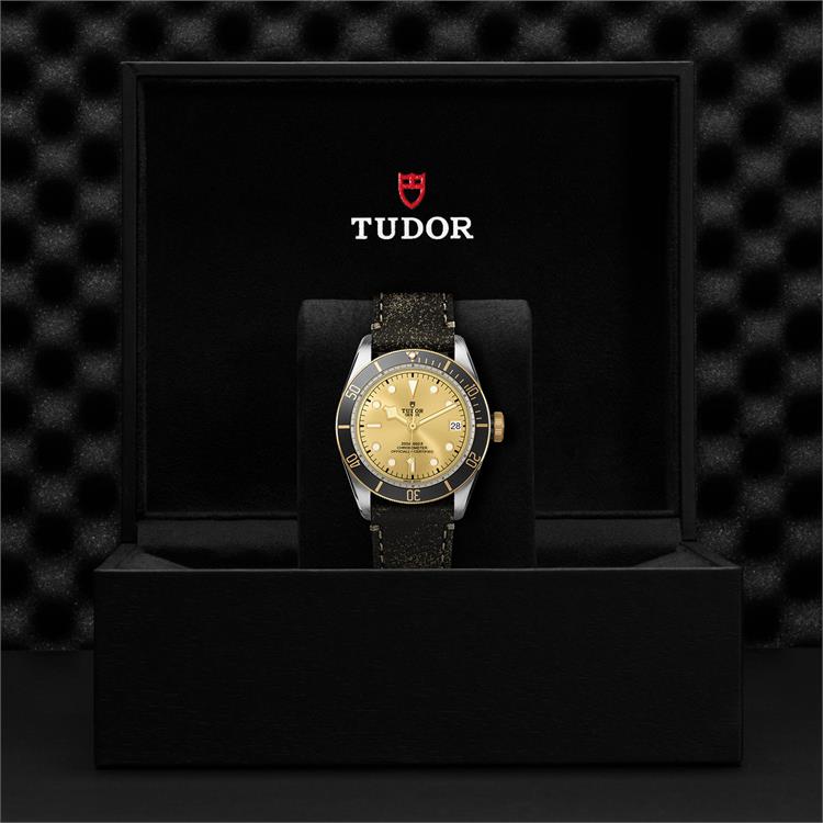 Tudor Black Bay S&G  M79733N-0003 41mm. Gold Dial. Baton Numerals_3