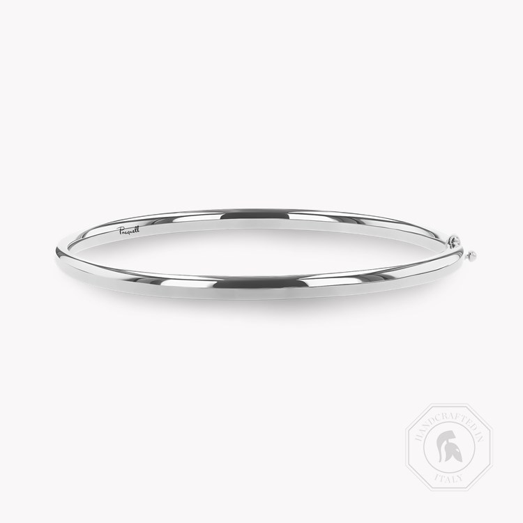 Plain Polished 4mm Oval Bangle _1