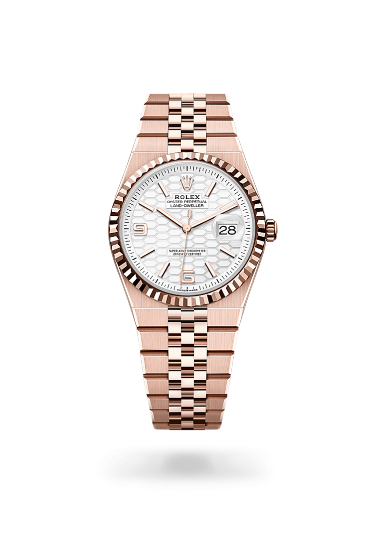 Land-Dweller 36, Oyster, 36 mm, Everose gold