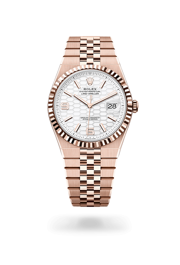 Land-Dweller 40, Oyster, 40 mm, Everose gold