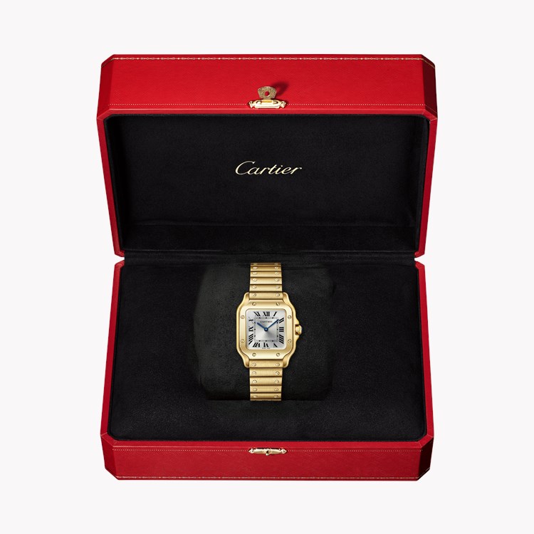 Cartier Santos de Cartier Small, Silver Dial, Roman Numerals_5