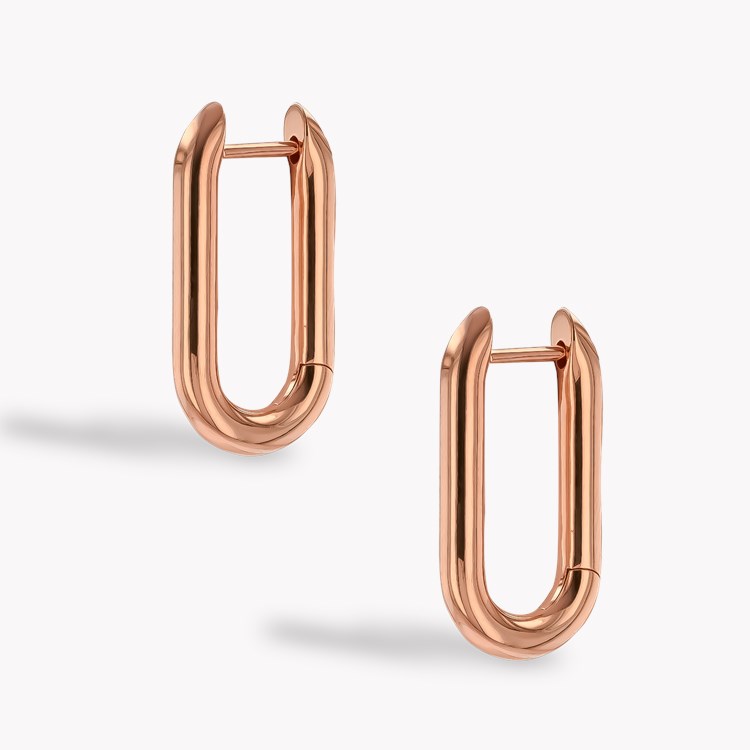 Havana Gold Oval Hoop Earrings _3