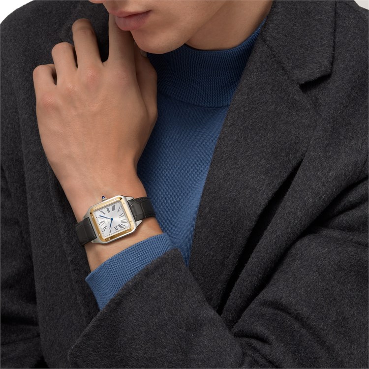 Cartier Santos-Dumont Extra-Large, Silver Dial, Roman Numerals_10