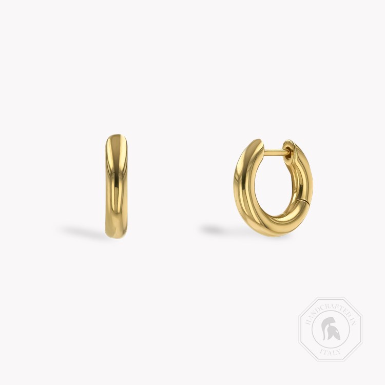 Havana Gold Hoop Earrings _1