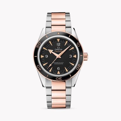 Omega Seamaster 300 O23320412101001