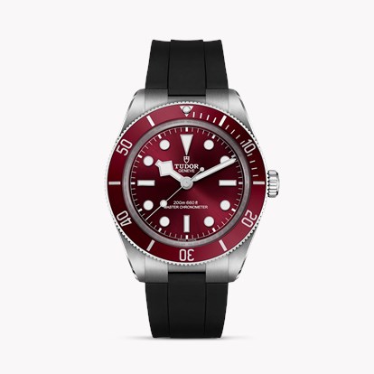 Tudor Black Bay 58 M7939A1A0RU-0003 