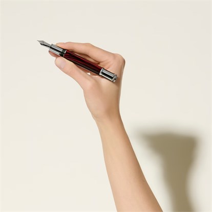 Montblanc Montblanc WRITERS EDITION HOMAGE TO BRAM STOKER LIMITED EDITION FOUNTAIN PEN