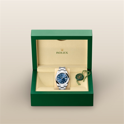 Datejust 41, Oyster, 41 mm, Oystersteel watch inside presentation box