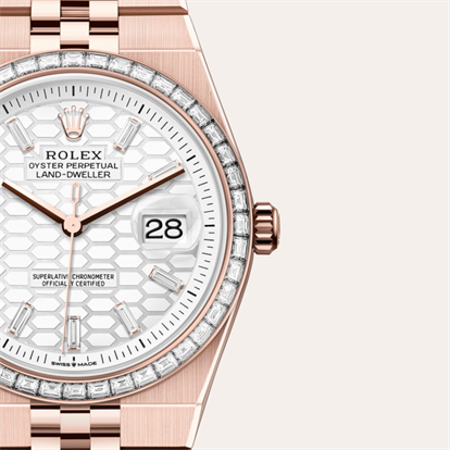 Land-Dweller 36, Oyster, 36 mm, Everose gold and diamonds watch