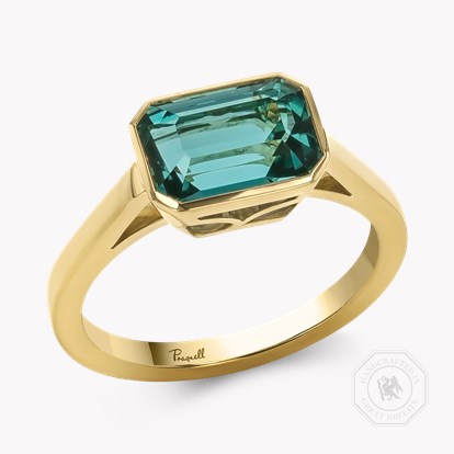 Kingdom Emerald Cut 3.00ct Namibian Tourmaline Ring