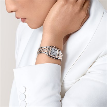 Cartier Panthère de Cartier