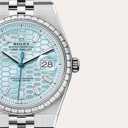 Land-Dweller 36, Oyster, 36 mm, platinum and diamonds watch