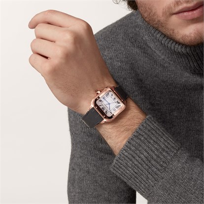 Cartier Santos de Cartier