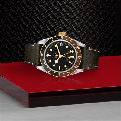 Tudor Black Bay