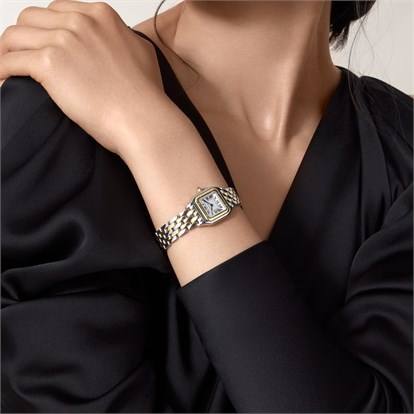 Cartier Panthère de Cartier