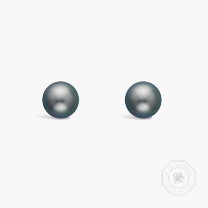 Tahitian Pearl Stud Earrings