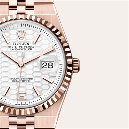 Land-Dweller 36, Oyster, 36 mm, Everose gold watch