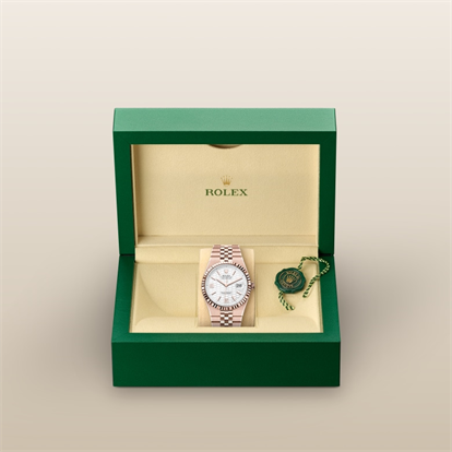 Land-Dweller 40, Oyster, 40 mm, Everose gold watch inside presentation box