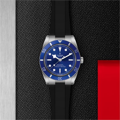 Tudor Black Bay 54